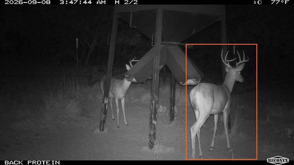 Derrick reference view