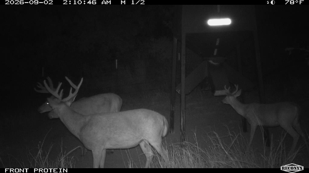 Longreach at FRONT PROTEIN