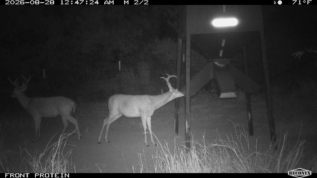 Longreach at FRONT PROTEIN