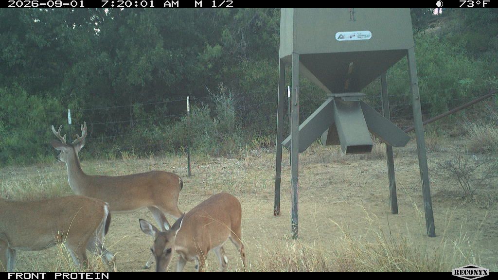 Longreach at FRONT PROTEIN