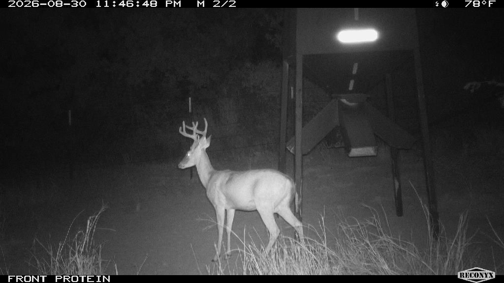 Longreach at FRONT PROTEIN