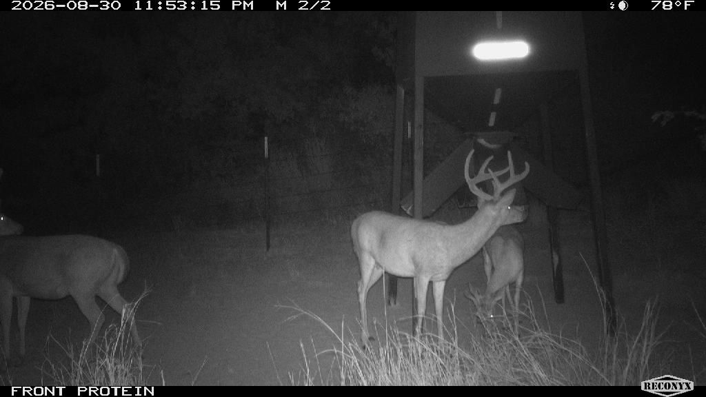 Longreach at FRONT PROTEIN
