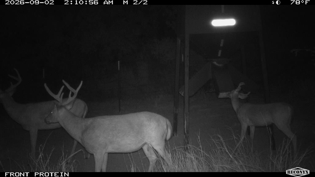 Longreach at FRONT PROTEIN