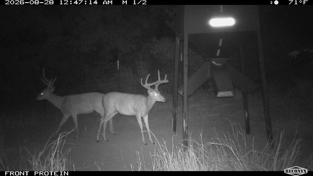 Longreach at FRONT PROTEIN